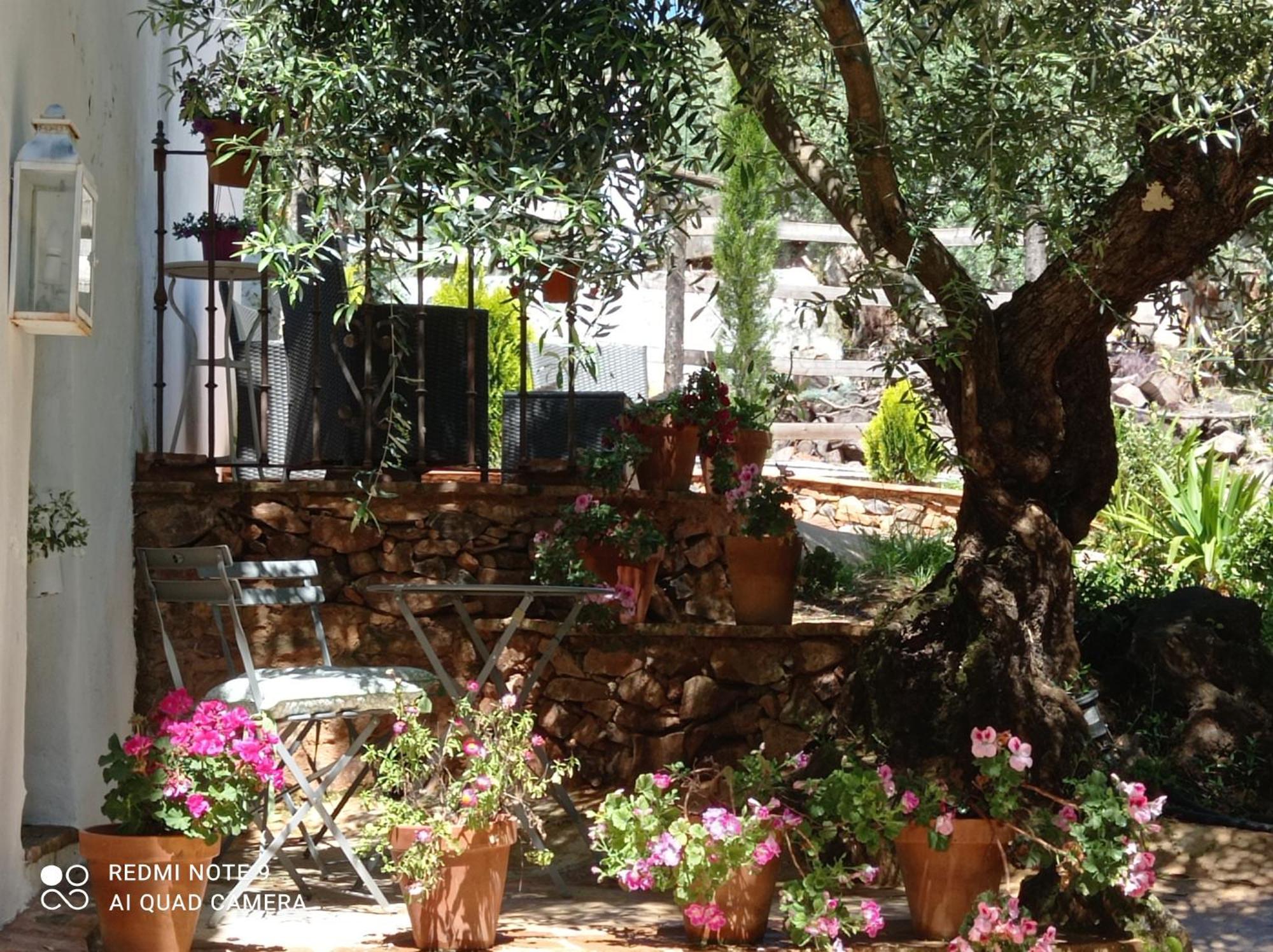 Finca La Favorita- Suites (Adults Only) Constantina Kültér fotó