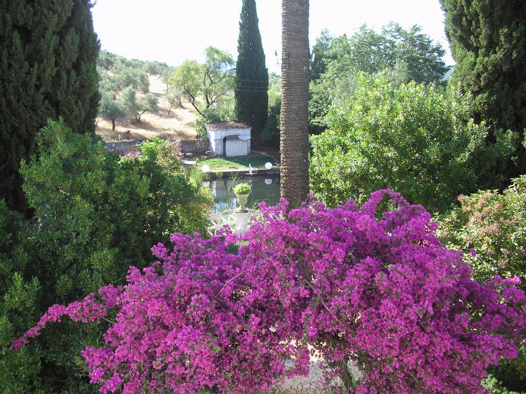 Finca La Favorita- Suites (Adults Only) Constantina Kültér fotó