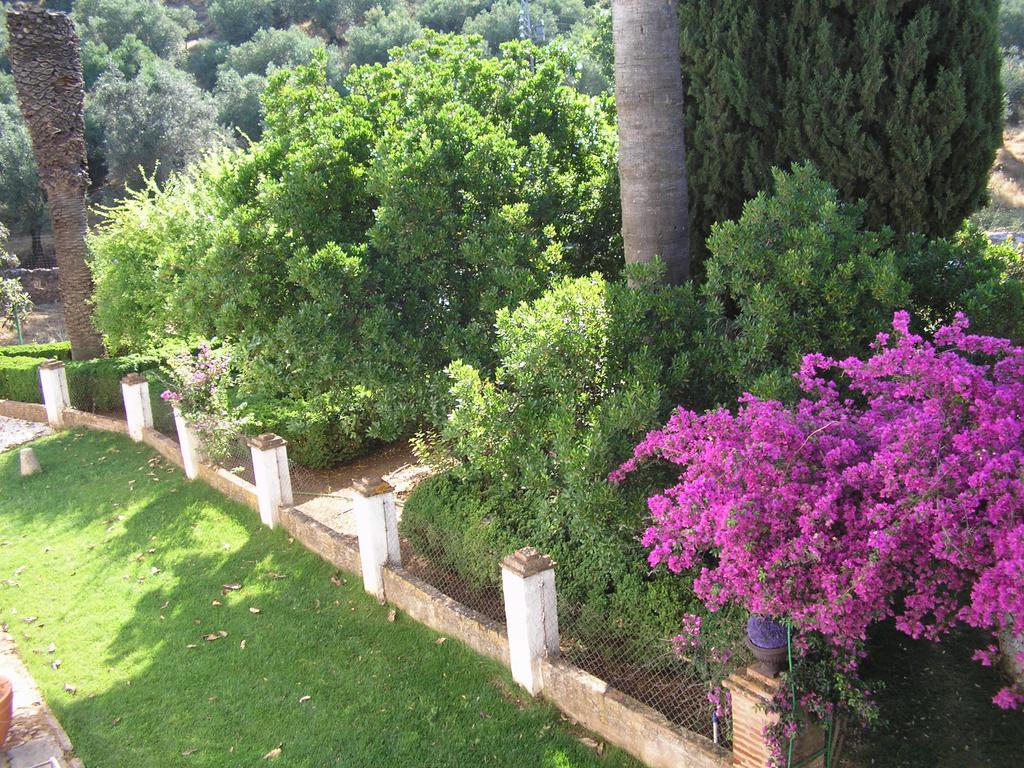 Finca La Favorita- Suites (Adults Only) Constantina Kültér fotó