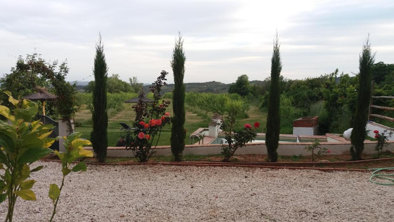 Finca La Favorita- Suites (Adults Only) Constantina Kültér fotó